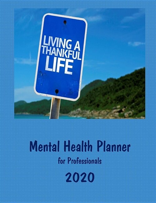 Mental Health Planner: For Professionals (Paperback)