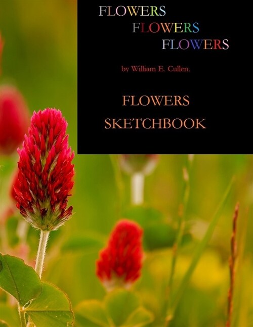 Flowers Sketchbook: Sketchbook of 8.5 x 11.0 120 Pages (Paperback)