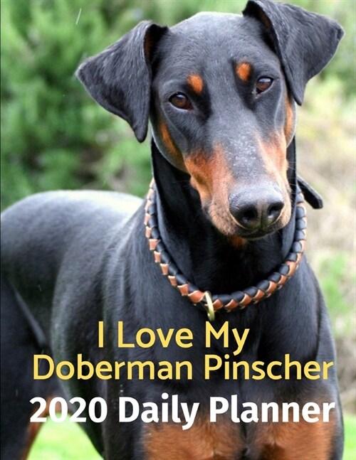 I Love My Doberman Pinscher: 2020 Daily Planner (Paperback)