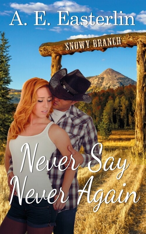 Never Say Never Again (Paperback)