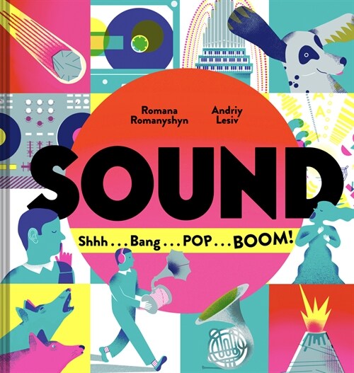 Sound: Shhh . . . Bang . . . Pop . . . Boom! (Hardcover)