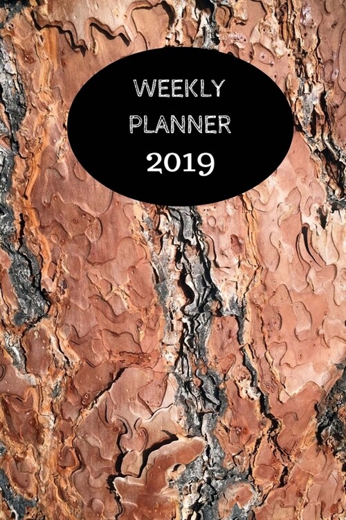 2018-2019 Planner: 2018-2019 Planner: 2019 Daily Planner Flowers On Stripes Illustration, September 2018 December 2019, 6 x 9 Daily Pla (Paperback)