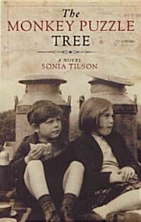 The Monkey Puzzle Tree (Paperback)