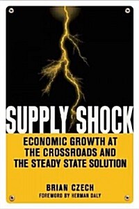 Supply Shock: Economic Growth at the Crossroads and the Steady State Solution (Paperback)