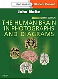 The Human Brain in Photographs and Diagrams : With STUDENT CONSULT Online Access (Paperback, 4 Revised edition)