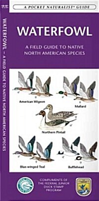 Waterfowl: A Field Guide to Native North American Species (Folded)