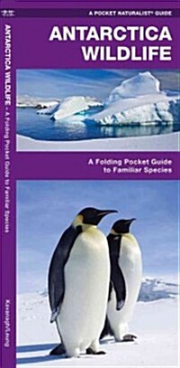 Antarctic Wildlife: A Folding Pocket Guide to Familiar Species of the Antarctic and Subantarctic Environments (Folded)