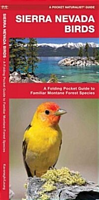Sierra Nevada Birds: A Folding Pocket Guide to Familiar Species of the Montane Forest Region (Folded)