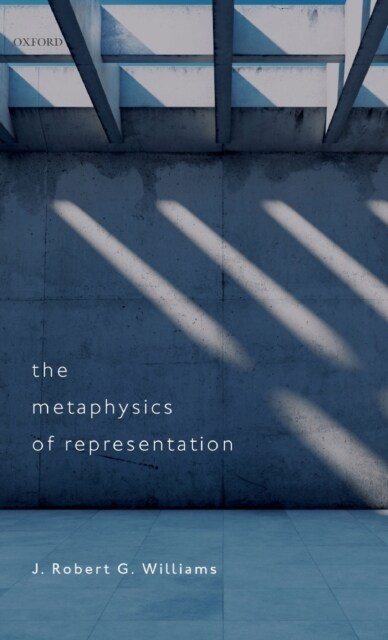 The Metaphysics of Representation (Hardcover)