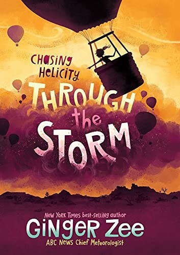 Chasing Helicity Through the Storm (Hardcover)