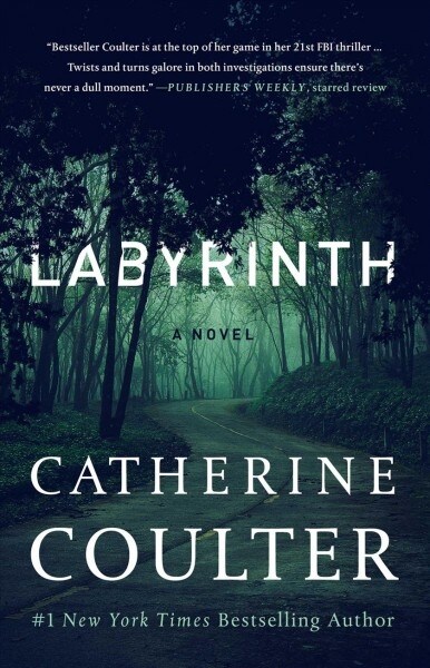 Labyrinth (Paperback)