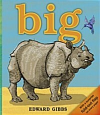 Big (Paperback)
