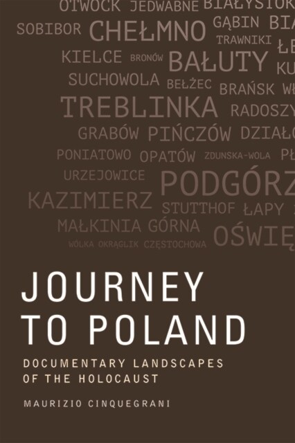 Journey to Poland : Documentary Landscapes of the Holocaust (Paperback)