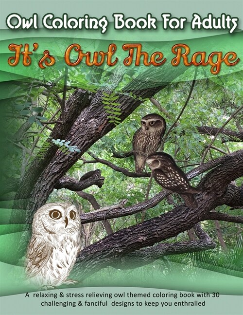 Owl Coloring Book For Adults: Its Owl The Rage: A relaxing & stress relieving owl themed coloring book with 30 challenging & fanciful designs to ke (Paperback)