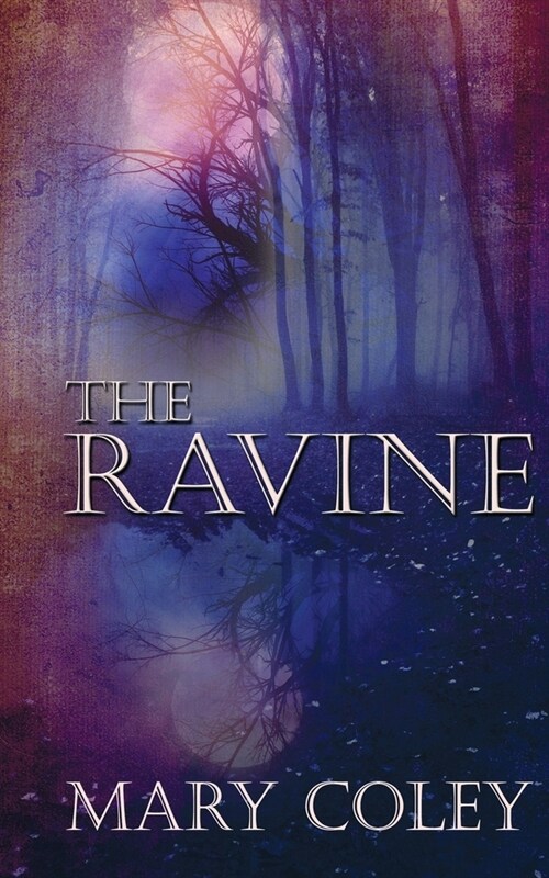 The Ravine (Paperback)