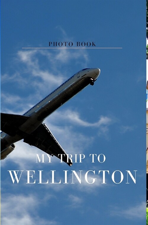 My trip to Wellington (Hardcover)