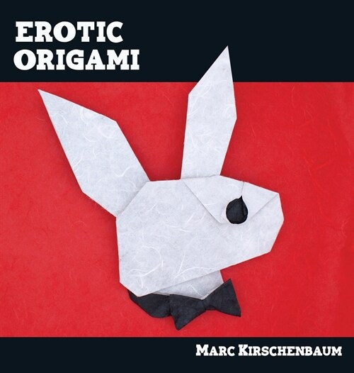 Erotic Origami (Hardcover)