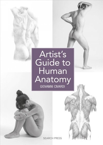 Artists Guide to Human Anatomy (Paperback)