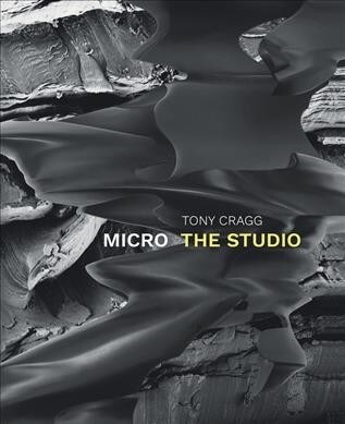 Tony Cragg: Micro: The Studio (Hardcover)