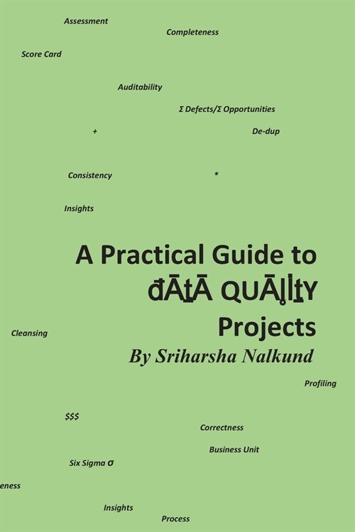 A Practical Guide to Data Quality Projects: Assessment & Recommendation (Paperback)
