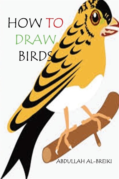 How to Draw Birds: Draw Birds: A Step by Step Way to Draw Birds and many more (Paperback)