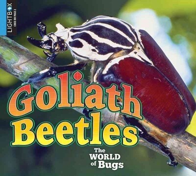 Goliath Beetles (Library Binding)