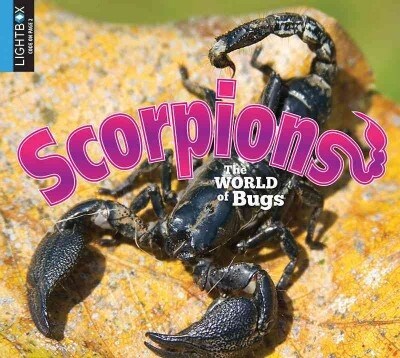 Scorpions (Library Binding)