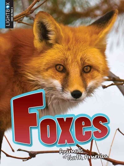 Foxes (Library Binding)