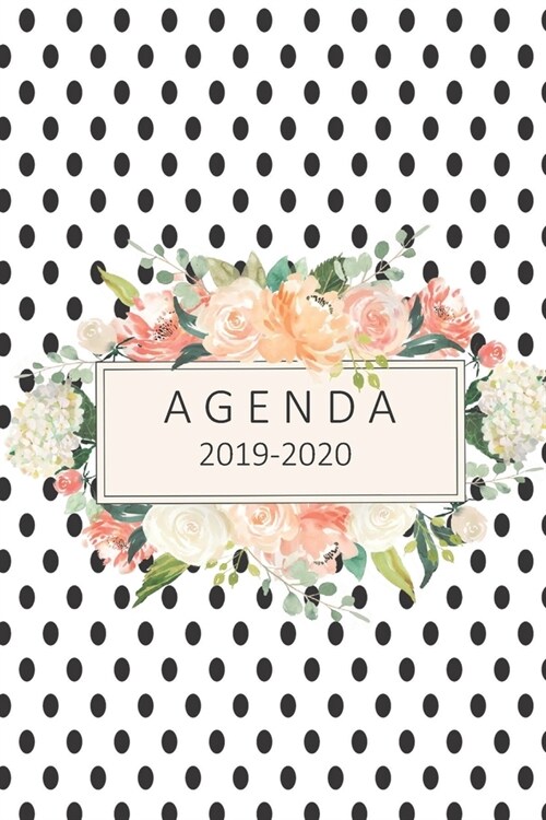 agenda 2019- 2020: agenda 2019-2020 del 1 de julio del 2019 al 31 de diciembre del 2020 ideal para el regreso a clase con 80 hojas planif (Paperback)