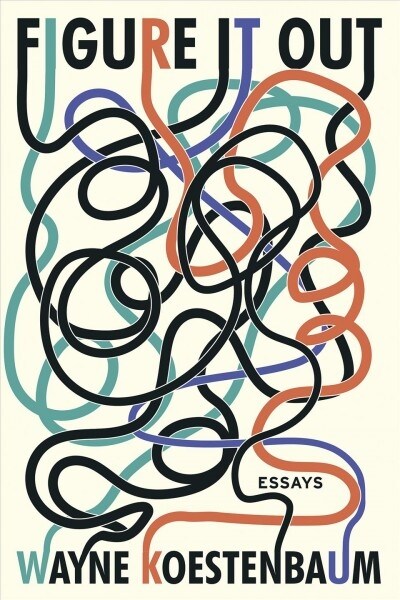 Figure It Out: Essays (Paperback)