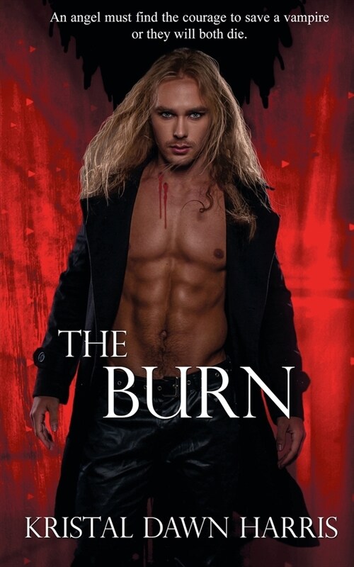 The Burn (Paperback)