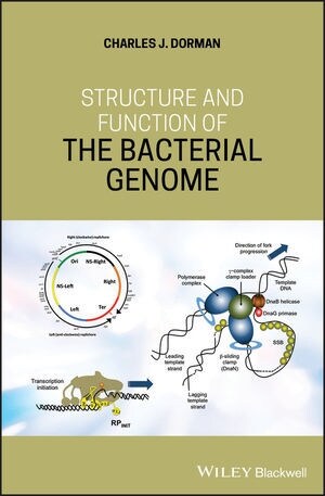 Structure and Function of the Bacterial Genome (Hardcover)