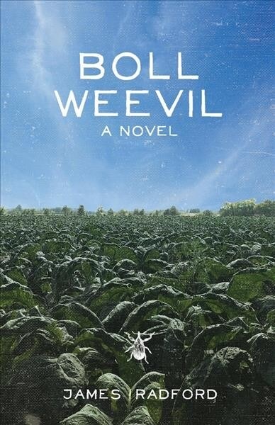 Boll Weevil: Volume 1 (Paperback)