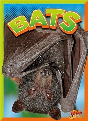 Bats (Library Binding)