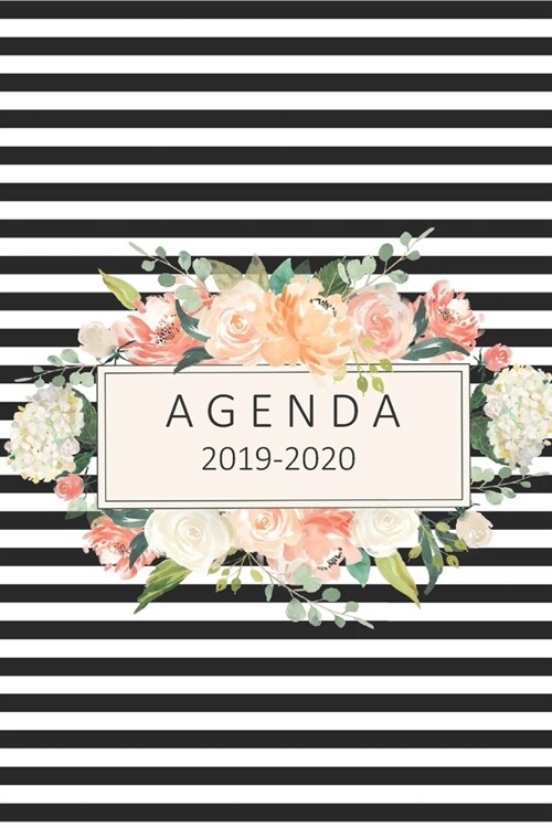 agenda 2019- 2020: agenda 2019-2020 del 1 de julio del 2019 al 31 de diciembre del 2020 ideal para el regreso a clase con 80 hojas planif (Paperback)