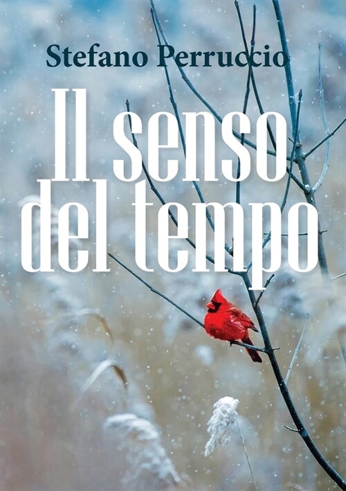 Il senso del tempo (Paperback)