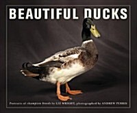 Beautiful Ducks: Portraits of Champion Breeds (Paperback)
