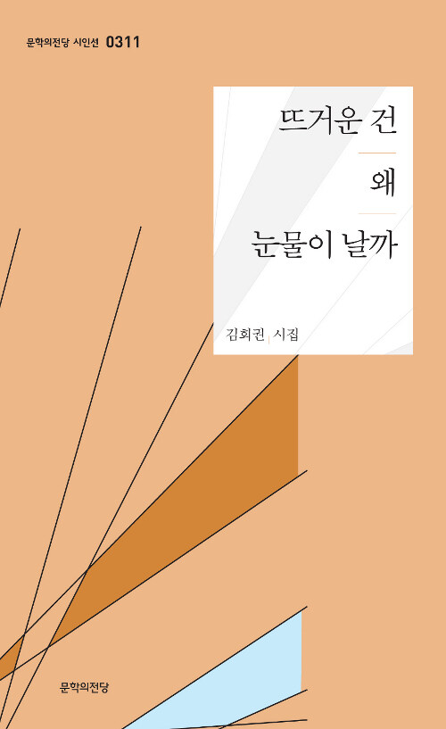 뜨거운 건 왜 눈물이 날까 : 김회권 시집 표지이미지