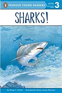 [중고] Sharks! (Paperback)