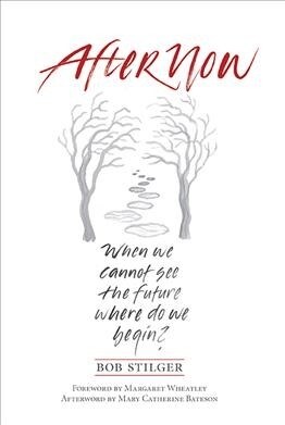 Afternow: When We Cannot See the Future. Where Do We Begin? (Paperback)