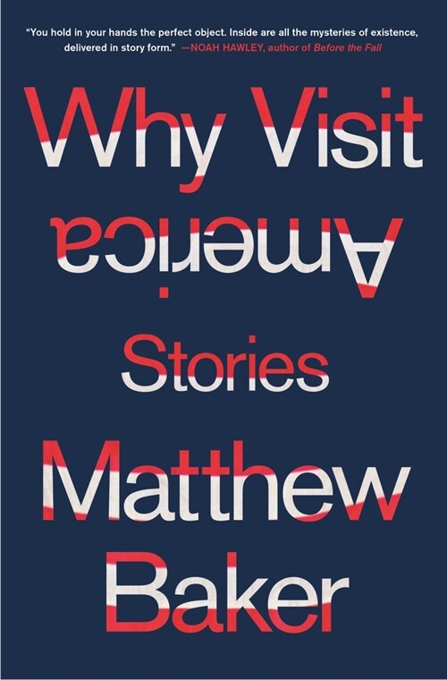Why Visit America: Stories (Hardcover)