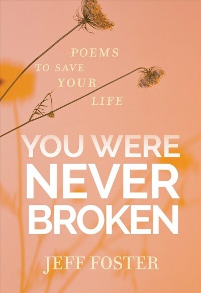 You Were Never Broken: Poems to Save Your Life (Paperback)