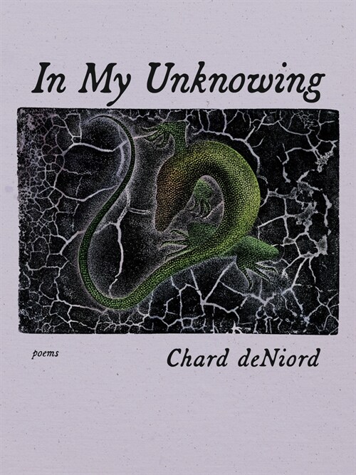 In My Unknowing: Poems (Paperback)