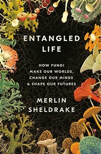 Entangled life : how fungi make our worlds, change our minds & shape our futures 