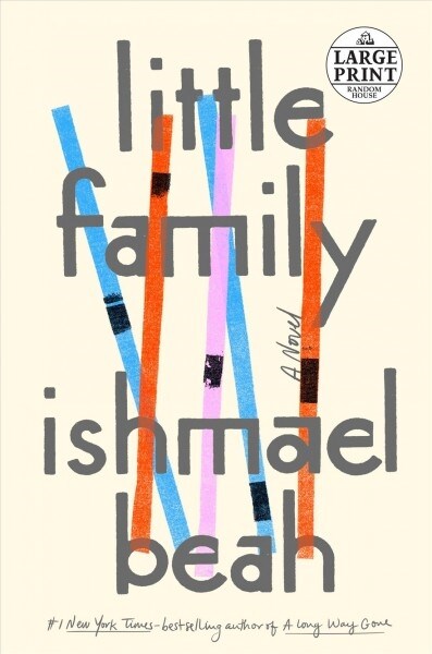 Little Family (Paperback, Large Print)