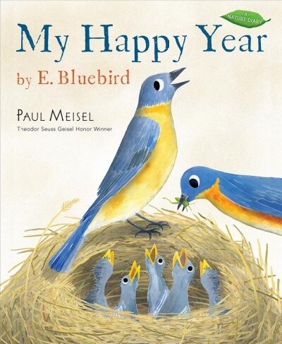 My Happy Year by E.bluebird (Paperback)