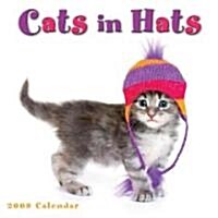 Cats in Hats 2009 Calendar (Paperback, Wall)