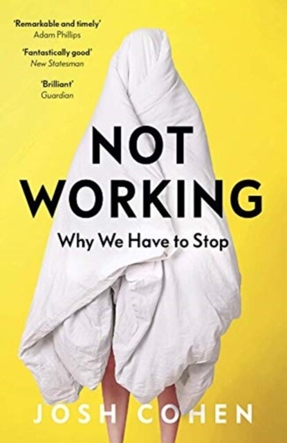 Not Working : Why We Have to Stop (Paperback)