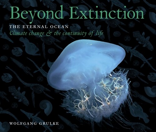 Beyond Extinction: The Eternal Ocean. Climate Change & the Continuity of Life (Hardcover)