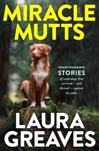Miracle Mutts (Paperback)